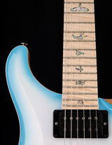 Paul Reed Smith Wood Library Custom 24 Floyd Cloud Burst Brian's Guitars Limited