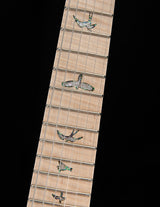 Paul Reed Smith Wood Library Custom 24 Floyd Cloud Burst Brian's Guitars Limited