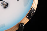 Paul Reed Smith Wood Library Custom 24 Floyd Cloud Burst Brian's Guitars Limited