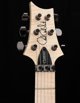 Paul Reed Smith Wood Library Custom 24 Floyd Cloud Burst Brian's Guitars Limited