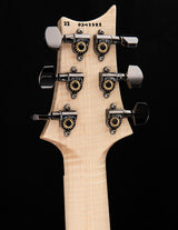 Paul Reed Smith Wood Library Custom 24 Floyd Cloud Burst Brian's Guitars Limited