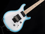 Paul Reed Smith Wood Library Custom 24 Floyd Cloud Burst Brian's Guitars Limited