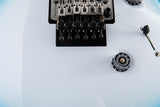 Paul Reed Smith Wood Library Custom 24 Floyd Cloud Burst Brian's Guitars Limited