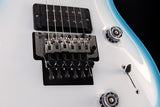 Paul Reed Smith Wood Library Custom 24 Floyd Cloud Burst Brian's Guitars Limited