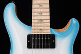 Paul Reed Smith Wood Library Custom 24 Floyd Cloud Burst Brian's Guitars Limited