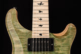 Paul Reed Smith Wood Library Custom 24 Floyd Palm Green Brian's Guitars Limited