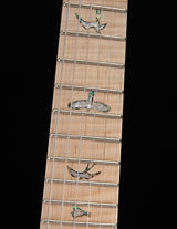 Paul Reed Smith Wood Library Custom 24 Floyd Platinum Smokeburst Brian's Guitars Limited