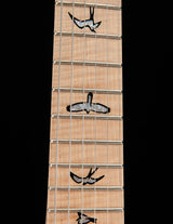 Paul Reed Smith Wood Library Modern Eagle V Pink Chrome Brian's Guitars Limited