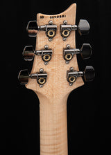 Paul Reed Smith Wood Library Modern Eagle V Cloud Burst Brian's Guitars Limited