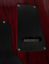 Paul Reed Smith Wood Library Custom 24 Floyd Fire Red Burst Brian's Guitars Limited