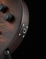 Paul Reed Smith DW CE 24 Floyd Dustie Waring Signature Burnt Amber Smokeburst