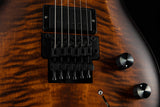 Paul Reed Smith DW CE 24 Floyd Dustie Waring Signature Burnt Amber Smokeburst