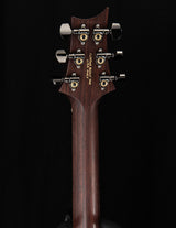 Paul Reed Smith Wood Library Modern Eagle V Key Lime Brian's Guitars Limited