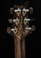 Paul Reed Smith Private Stock McCarty 594 Aqua Violet