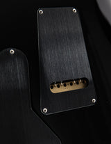 Paul Reed Smith Wood Library Special Semi-Hollow Jade Smokeburst Brian's Guitars Limited