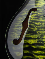 Paul Reed Smith Wood Library Special Semi-Hollow Jade Smokeburst Brian's Guitars Limited