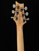 Paul Reed Smith SE Silver Sky Dragon Fruit