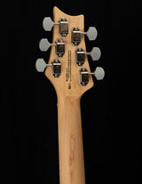 Paul Reed Smith SE Silver Sky Dragon Fruit