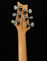 Paul Reed Smith SE Silver Sky Stone Blue