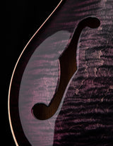 Paul Reed Smith Special Semi-Hollow Faded Purple Burst