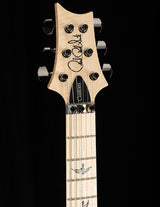 Paul Reed Smith Wood Library Custom 24 Floyd Platinum Metallic Smokeburst Brian's Guitars Limited