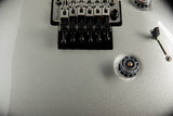 Paul Reed Smith Wood Library Custom 24 Floyd Platinum Metallic Smokeburst Brian's Guitars Limited