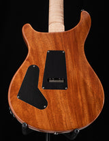 Paul Reed Smith Wood Library Custom 24 Floyd Palm Green Brian's Guitars Limited