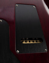 Used Paul Reed Smith Wood Library Special Semi-Hollow Purple Burst Brian's Guitars Limited