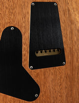 Paul Reed Smith Wood Library Special Semi-Hollow Teal Fade Brian's Guitars Limited