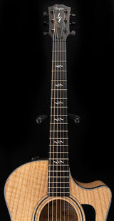Taylor 424ce Urban Ash Limited