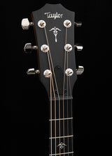 Taylor 514ce Urban Ironbark
