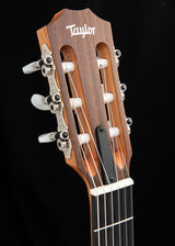 Taylor Academy 12e-N Nylon