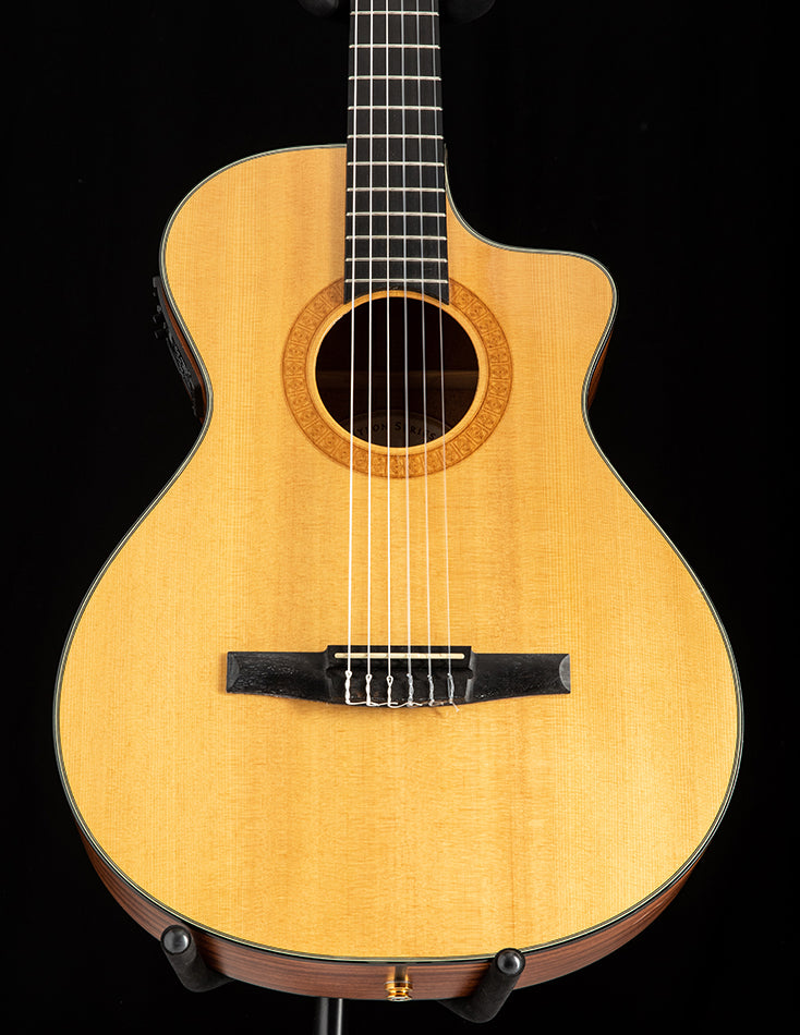Taylor NS32-CE エレガット - アコースティックギター