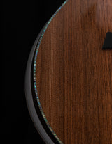 Taylor PS14ce Presentation Series Honduran Rosewood