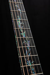 Taylor PS14ce Presentation Series Honduran Rosewood