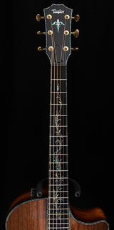 Taylor PS14ce Presentation Series Honduran Rosewood