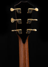 Taylor PS14ce Presentation Series Honduran Rosewood