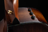 Taylor PS14ce Presentation Series Honduran Rosewood