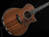 Taylor PS14ce Presentation Series Honduran Rosewood