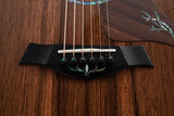 Taylor PS14ce Presentation Series Honduran Rosewood