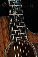 Taylor PS14ce Presentation Series Honduran Rosewood