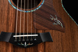 Taylor PS14ce Presentation Series Honduran Rosewood