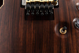 Used Paul Reed Smith Private Stock DGT Semi-Hollow Floyd East Indian Rosewood