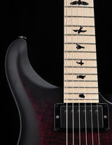 Paul Reed Smith DW CE 24 Floyd Dustie Waring Signature Waring Burst