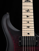 Used Paul Reed Smith DW CE 24 Floyd Dustie Waring Signature Waring Burst