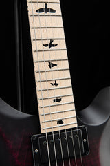 Paul Reed Smith DW CE 24 Floyd Dustie Waring Signature Waring Burst