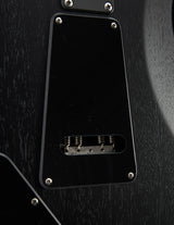 Paul Reed Smith DW CE 24 Floyd Dustie Waring Signature Waring Burst