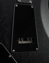 Used Paul Reed Smith DW CE 24 Floyd Dustie Waring Signature Waring Burst