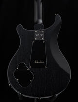 Paul Reed Smith DW CE 24 Floyd Dustie Waring Signature Waring Burst