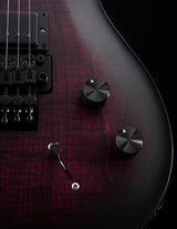 Paul Reed Smith DW CE 24 Floyd Dustie Waring Signature Waring Burst